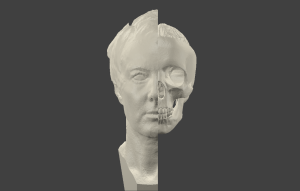 IVORY Screenshot 3D model 3 COLOURS jane head skull brain FRONT